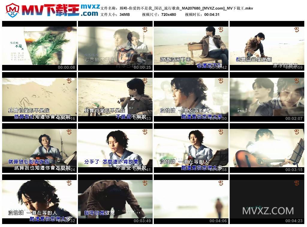 顾峰-你爱的不是我_国语_流行歌曲_MA207680